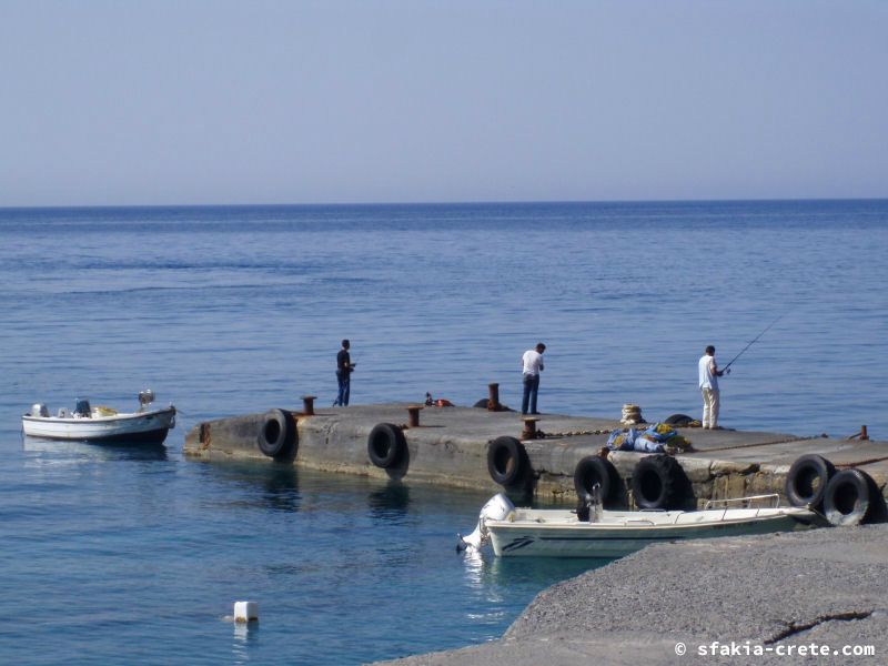 Photo report of a stay in and around Sfakia and Crete, May 2008